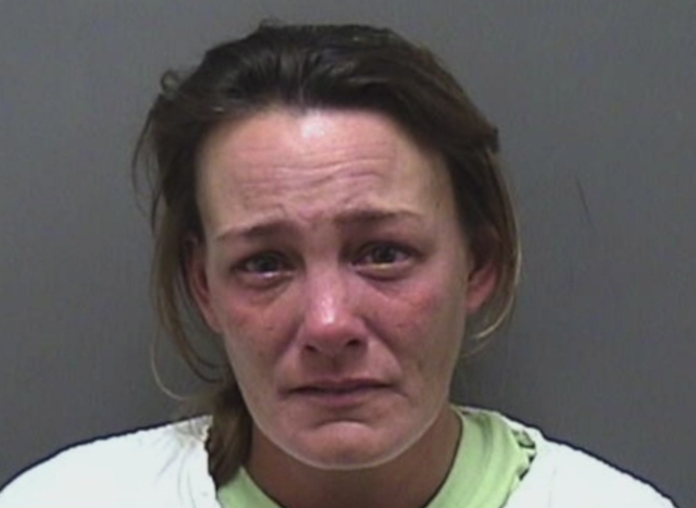 South Milwaukee teacher on leave facing drug dealing charges - WTMJ-TV (press release) (registration) (blog)