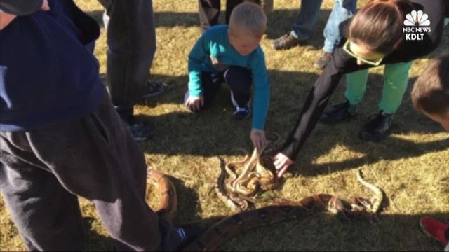 South Dakota man gets $190 fine for snake without leash