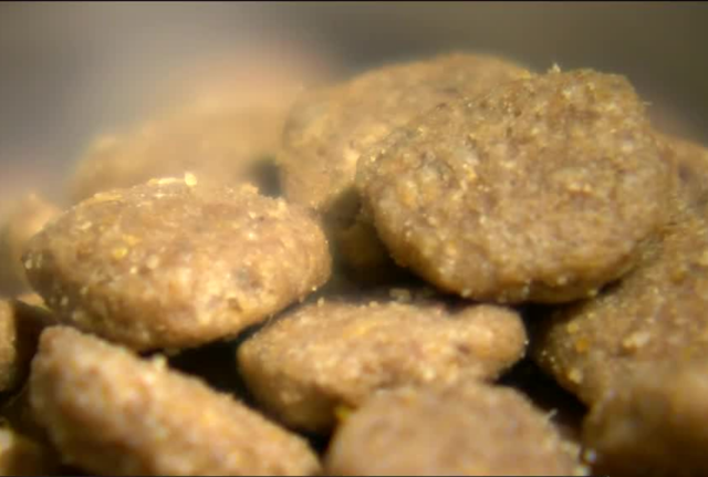 Non-profit claims some pet food contains harmful toxins - WTMJ-TV (press release) (registration) (blog)