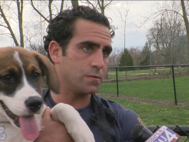 animal rescue group in need of east side shelter tmj4 animal rescue group in need of east side shelter tmj4