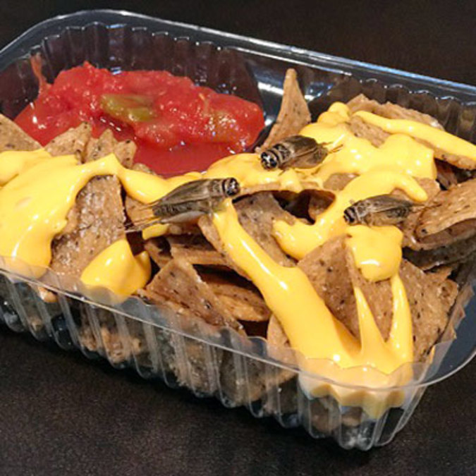 PHOTOS New foods at this year's Wisconsin State Fair Gallery