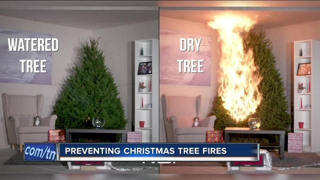 The Internet Is Very Upset Over These Upside-Down Christmas Trees The Internet Is Very Upset Over These Upside-Down Christmas Trees