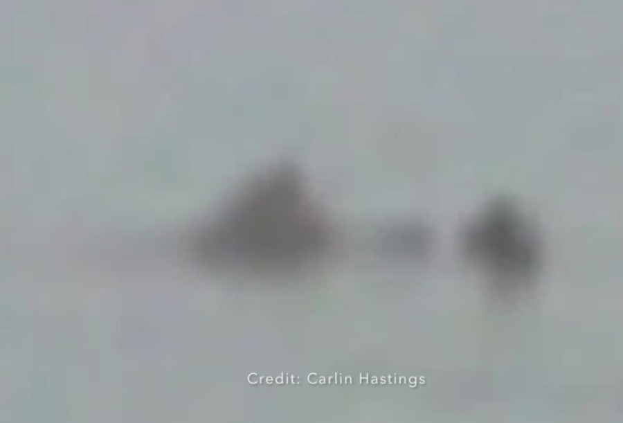 Strange creature caught on camera on Lake Michigan TMJ4 Milwaukee, WI