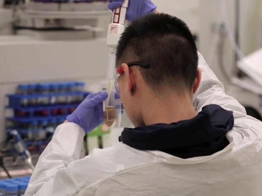 Test concludes some protein powders contain metal particles like