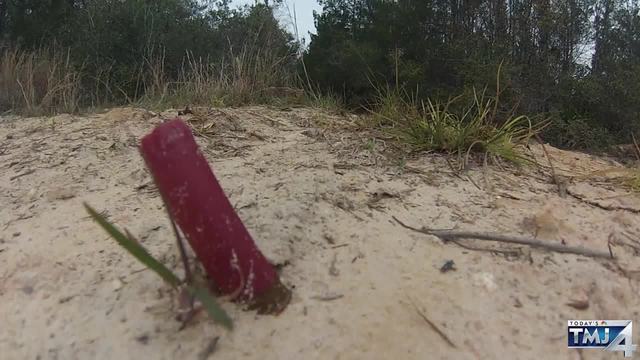 Minnesota Man Kills Wisconsin Woman, Toddler in Florida