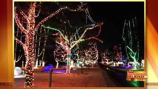 the 2018 wisconsin christmas carnival of lights tmj4 jellystone christmas lights